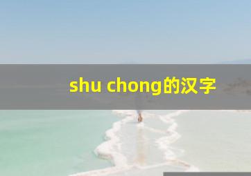 shu chong的汉字